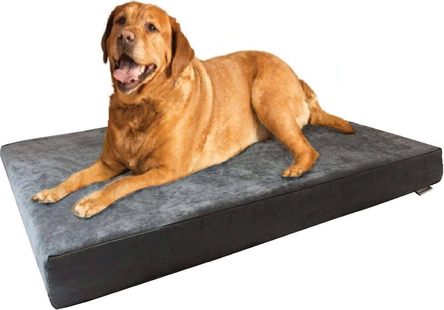 Ultimate Memory Foam Dog Bed, Orthopedic Joint Relief for Small Medium to Extra Large Dogs with Waterproof Liner and Durable Machine Washable Pet Bed Cover