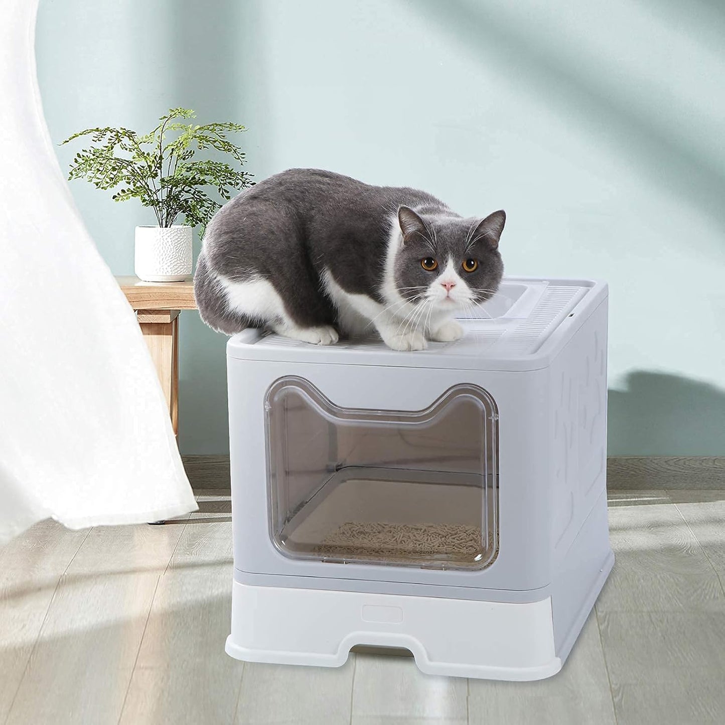 Large Cat Litter Box, Foldable Top Entry Litter Box with Lid ,Easy Clean No Smell Pet Kitty Litter Box Litter Pan Cat Potty